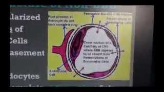 Human Blood Barriers  Circumventricular Organs Part 1  Sanjoy Sanyal [upl. by Farley]