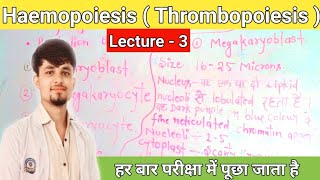 haemopoiesis notes  thrombopoiesis in hindi  thrombopoiesis notes thrombocytes [upl. by Sontag886]