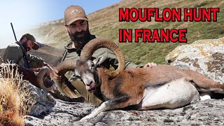 Hunting Mouflon in France [upl. by Eeimaj399]