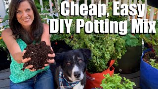 How to Make DIY Easy Cheap Organic Potting Soil with 4 Ingredients Container Garden Series 2 [upl. by Hines491]