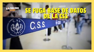 Fuga de Datos del CSS [upl. by Carn]