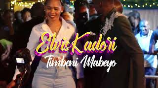 Timbeni mabeyo  Elvis Kadori  Official Music Visualizer [upl. by Notsniw]