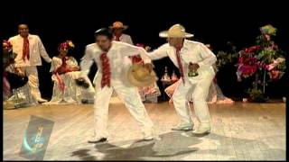 el borracho jarocho hd [upl. by Dyoll]