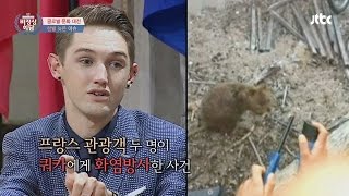 Abnormal Summit Abusive tourist Please Stop the Animal abuse 비정상회담 49회 [upl. by Frannie]