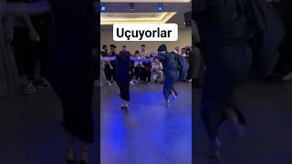 KOLBASTI SHOW shorts short shortvideo viral viralvideo düğün halay halaybaşı gelin damat [upl. by Anilam]