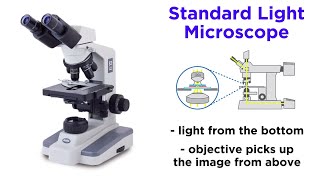 Light Microscopy Function and Utility [upl. by Esineg795]