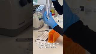 DNA Extraction vlog [upl. by Ynahirb52]