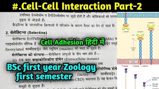 Selectin Cell Adhesion molecule  BSc first year Zoology first semester in hindi [upl. by Longwood]