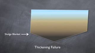 Clarifier Basics [upl. by Libbi449]