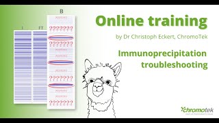 ChromoTek immunoprecipitation IP troubleshooting online training [upl. by Koerner903]