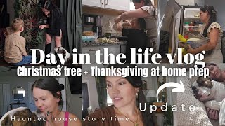 Getting our Christmas tree 🎄  Storytime on haunted house and Thanksgiving meal haul Ditl vlog [upl. by Hanavas]