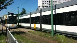 Antwerpen Straßenbahn  Antwerp Tram [upl. by Lilithe896]