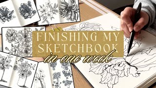 finishing my sketchbook in ONE week ❀ music  voiceover [upl. by Anierdna]