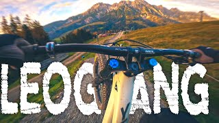 LEOGANG Bike Park  All 11 Tracks 2022 [upl. by Esenwahs]