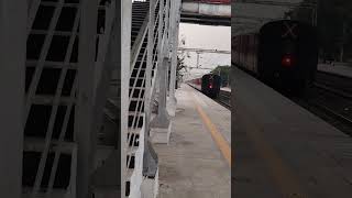 Maharaja expressmaharaja train viral videoRonakArtist2024 [upl. by Ayhtin]