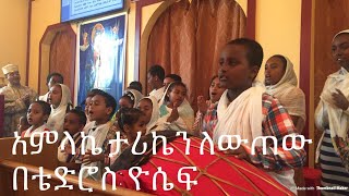 አምላኬ ታሪኬን ለውጠው Amilake Tariken Lewetew Dn Tewodros Yosef [upl. by Leibrag440]