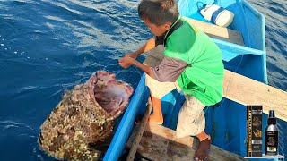 Saking Jitu nya umpan ini terancam habis ikan di laut cuaca buruk bocil fight dengan ikan kedalaman [upl. by Ttelrahc26]