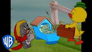 Tom amp Jerry  Cutest Characters in Tom and Jerry  Classic Cartoon Compilation  wbkids​ [upl. by Hattie133]