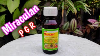 What Is Miraculan amp How To Use Miraculan Plant Growth Regulator Complete Guide IN HINDI [upl. by Kym]