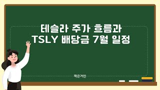 테슬라 주가 흐름과 TSLY 배당금 7월 일정 [upl. by Nitsid]