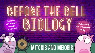 Mitosis and Meiosis Before the Bell Biology [upl. by Aguste437]