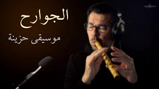 موسيقى الجوارح الحزينة كوله محمد فتيان [upl. by Kcirdlek]