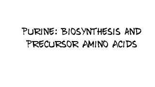 Purine Biosynthesis and Precursor amino acids [upl. by Lerret]