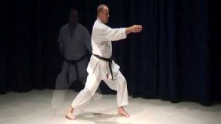 Shotokan Kihon 5 Basic Combinations Of Karate Shotokan Techniques [upl. by Goldia]