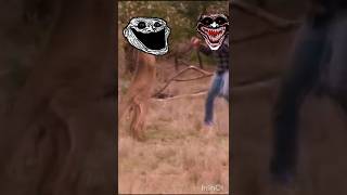 kangaroo vs man edit trollface shorts [upl. by Harrietta]