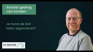 Je hond laten apporteren  Valkuilen [upl. by Arod]