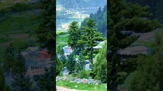 Beautiful naltar valley GB 💚 shorts youtubeshorts [upl. by Elinnet695]