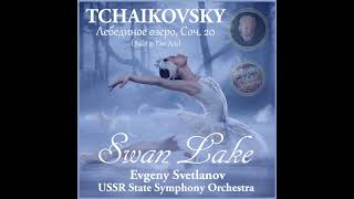 Swan Lake Act II No 13 Danses des cygnes IV Allegro moderato Tchaikovsky 1876 [upl. by Hessler]