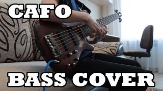 Animals As Leaders  CAFO Bass tapping cover [upl. by Eceinwahs]