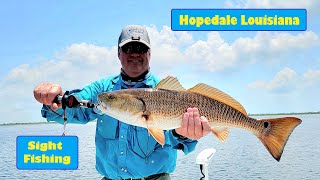 Montana Fly Fisherman Figures Out Hopedale Louisiana Sight Fishing in Only Two Days [upl. by Padgett89]