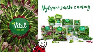 Gotowe mieszanki sałat Vital Fresh [upl. by Aeriela]