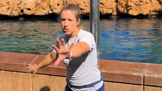 Dolphin Encounter at Seaworld Orlando [upl. by Sale]