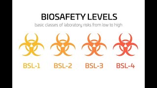 biosafety levels 1 2 3 4  laboratory safety levels [upl. by Nylatsyrc]