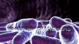 E Coli Bacteria  Photo Researchers [upl. by Cherian421]