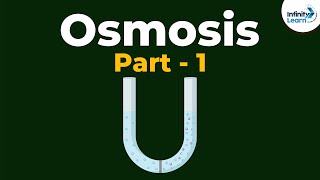 What is Osmosis  Part 1  Cell  Infinity Learn [upl. by Cherey868]