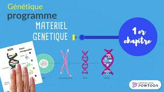 GENETIQUE  Programme L2 GENETIQUE SNV BIOLOGIE GENETIQUE [upl. by Kirsten]