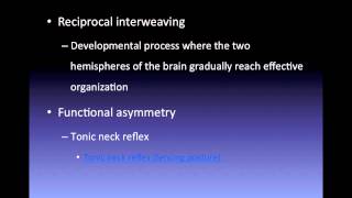 Gesells maturation theory [upl. by Benni]