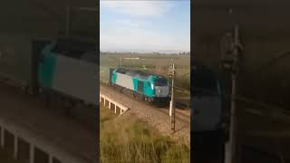 Teco de Acotral La Roda de Andalucía SillaConstantiAlginetValencia24032017 [upl. by Ahsap]