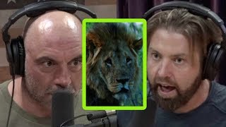 Forrest Galante Had a Close Call With a “Tranquilized” Lion [upl. by Nelson230]