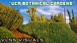 quotUCR Botanical Gardensquot Amazing 4K VLNS Tour 2020 Riverside California [upl. by Iver]