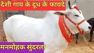 Rural hero  NCR Diary farming  इसकी सुंदरता का कोई मुकाबला नहीं [upl. by Haughay]