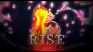 ONE PIECE AMV  RISE [upl. by Retsila]