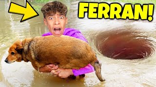 8 YouTubers Who SAVED ANIMALS LIVES The Royalty Family Salish Matter Ferran [upl. by Ibmab]