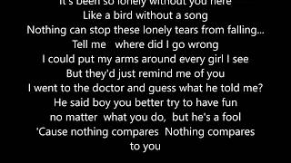 Chris Cornell  Nothing Compares 2U  Cover  Live  Scroll Lyrics quot22quot [upl. by Walkling]