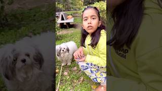 amaira ko mila dog shorts thegeetagurjar [upl. by Vanhomrigh]