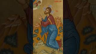 Prayer for our Enemies orthodox easternorthodox youtubeshorts prayer christianity bible [upl. by Eckart]